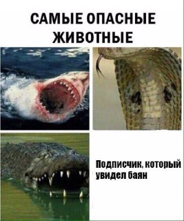 Субботняя деградация