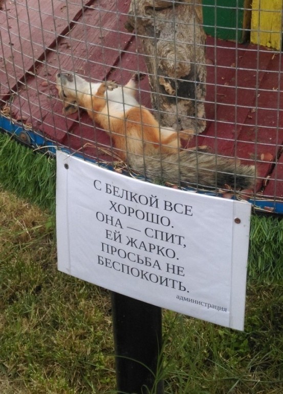 Смешные картинки