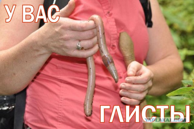 Приколюшечки (Часть 2)