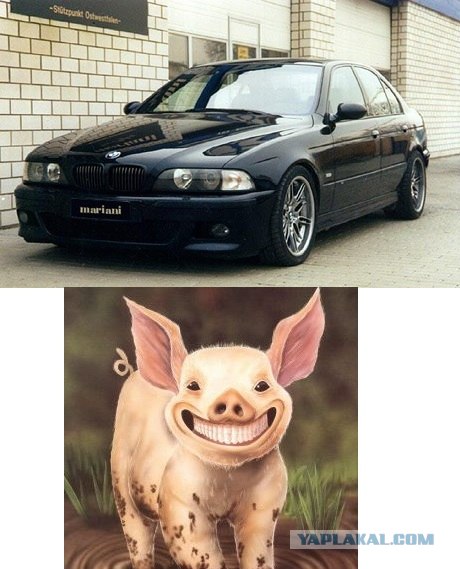 Клички у автомобилей