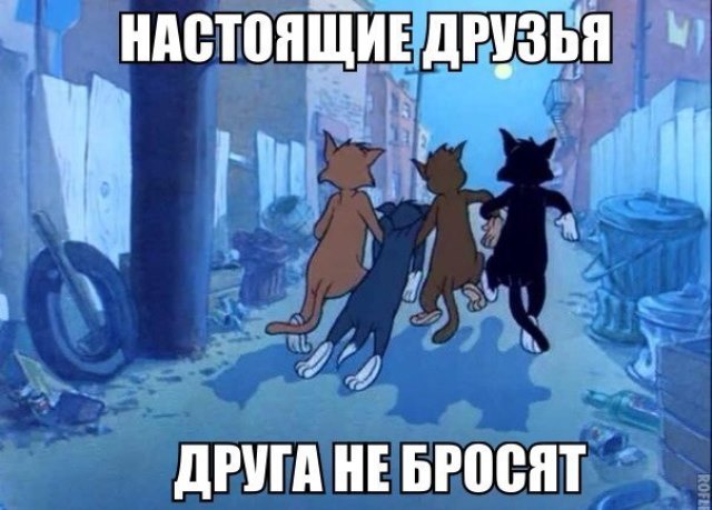 Прикольные картинки абавсём