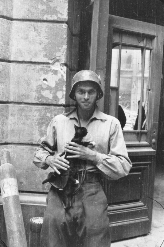 История в фотографиях - II