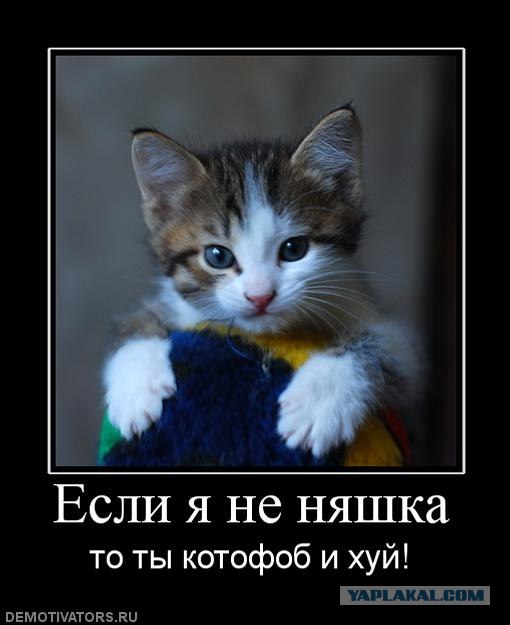 Что происходит?
