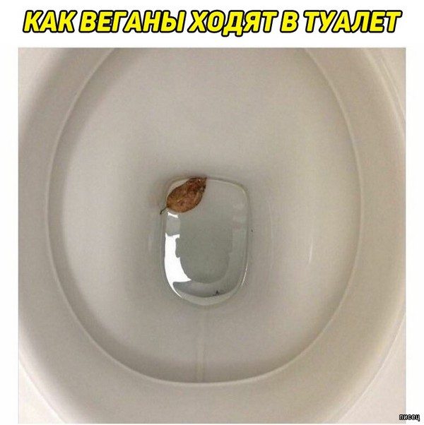 Веселые картинки когда...