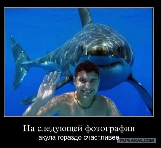 И попробуй тут только пикни