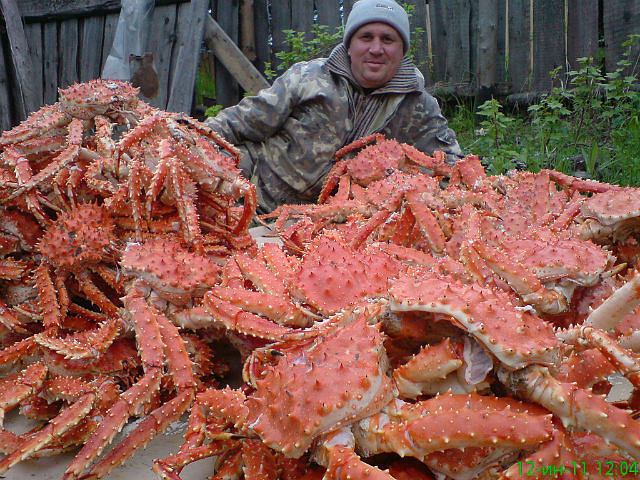 Как я ловил раков