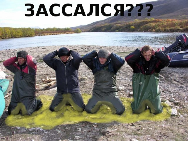 Конкурс на лучшую фотожабу против браконьеров.