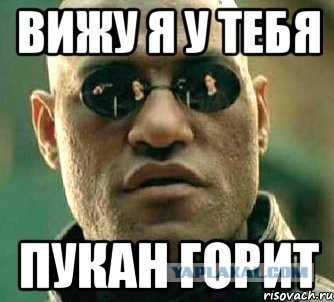 Полиция Петербурга поднята по тревоге...