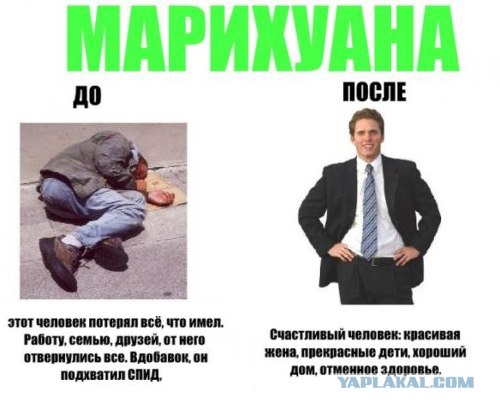 Мега-социалка!