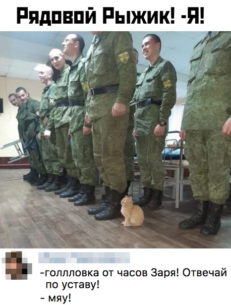 Алкопост! В картинках