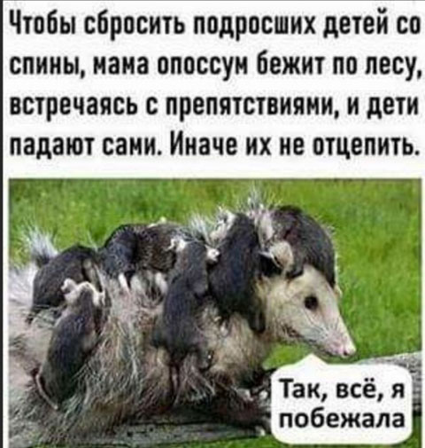 Немного картинок на пятницу