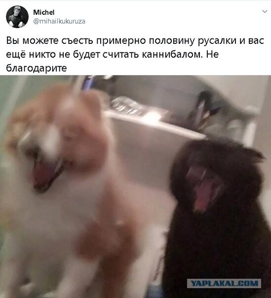 Бредзона 18.04.20