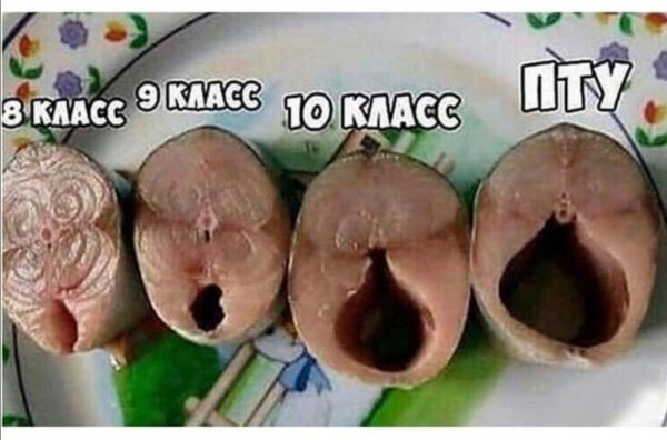 Картинки в субботу 11.07.20