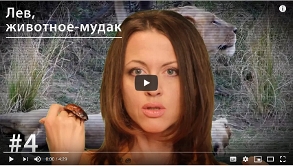 Очень неожиданная развязка