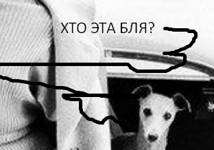 XX век представляет