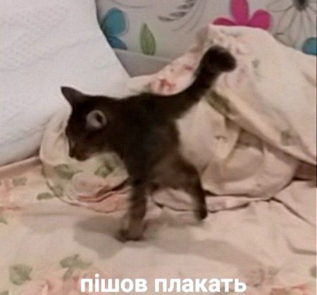 В разводе всегда виновата женщина