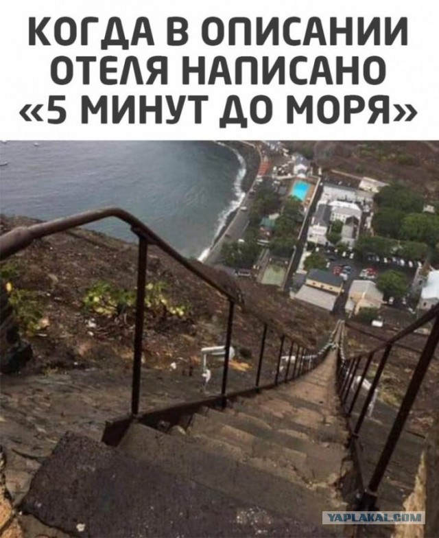 Юмор в картинках 29.11.20
