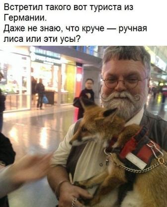Кретинизмы из сети 20.12.20