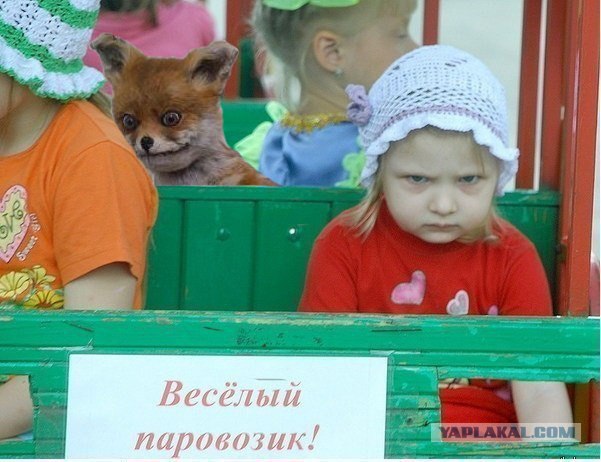 Таксидермия + наркомания