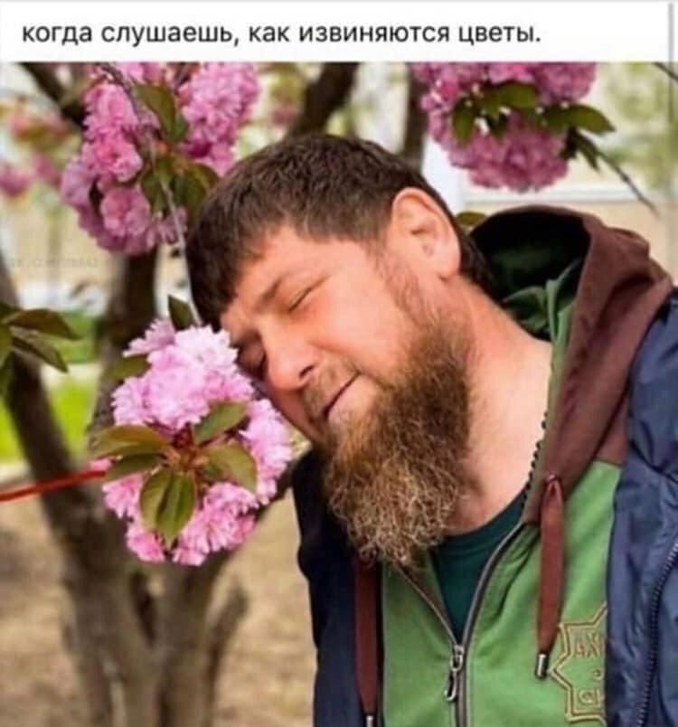 15163263.jpg