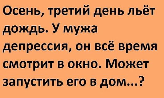 Кретинизмы из сети 03.02.21 Night Edition
