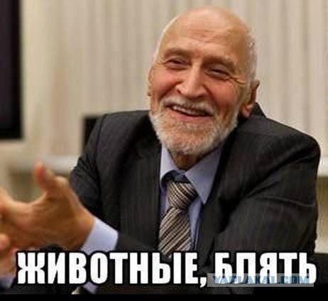 Цыгане жильё снимали