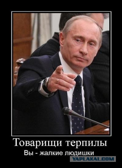 Митя Фомин едет в аэропорт с мигалкой