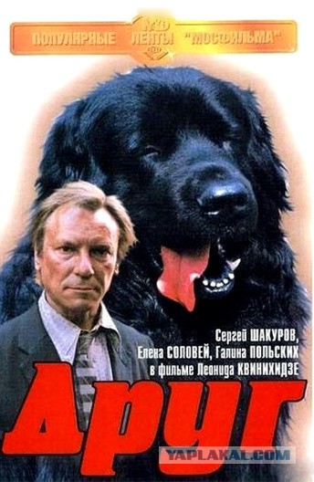 Благодарность клиента