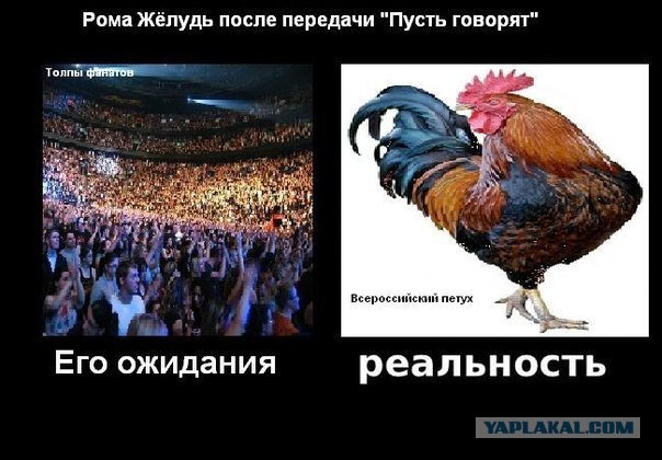 Что должен был сделать Наркоман Павлик