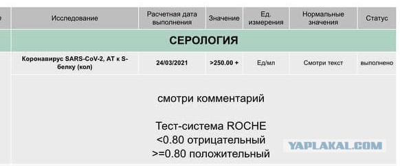 Пандемия. Коронавирус. Россия и мир. Последняя информация. Часть 21
