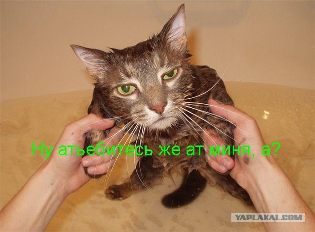 Тима, давай!
