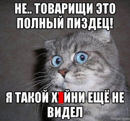 Юлия Волкова, которая недавно заявила о своем выдвижении в ГД от ЕР рассказала о том, что не патриотка и вообще любит США