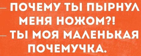 Единороссы составили ответы антиваксерам о желтых звездах и числе зверя