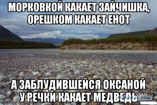 Вигвам вам