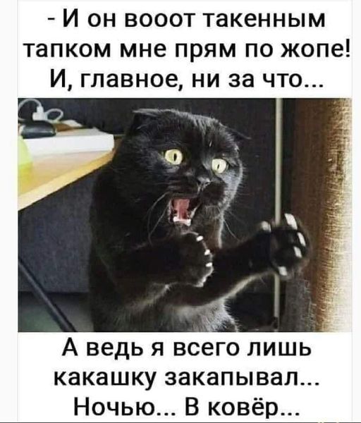 Картинки на выходные 25.12.21