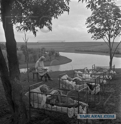 Привить всех, не спрашивая разрешения, или сделать так, чтобы сами пришли и попросили. Ученые — о детской вакцинации