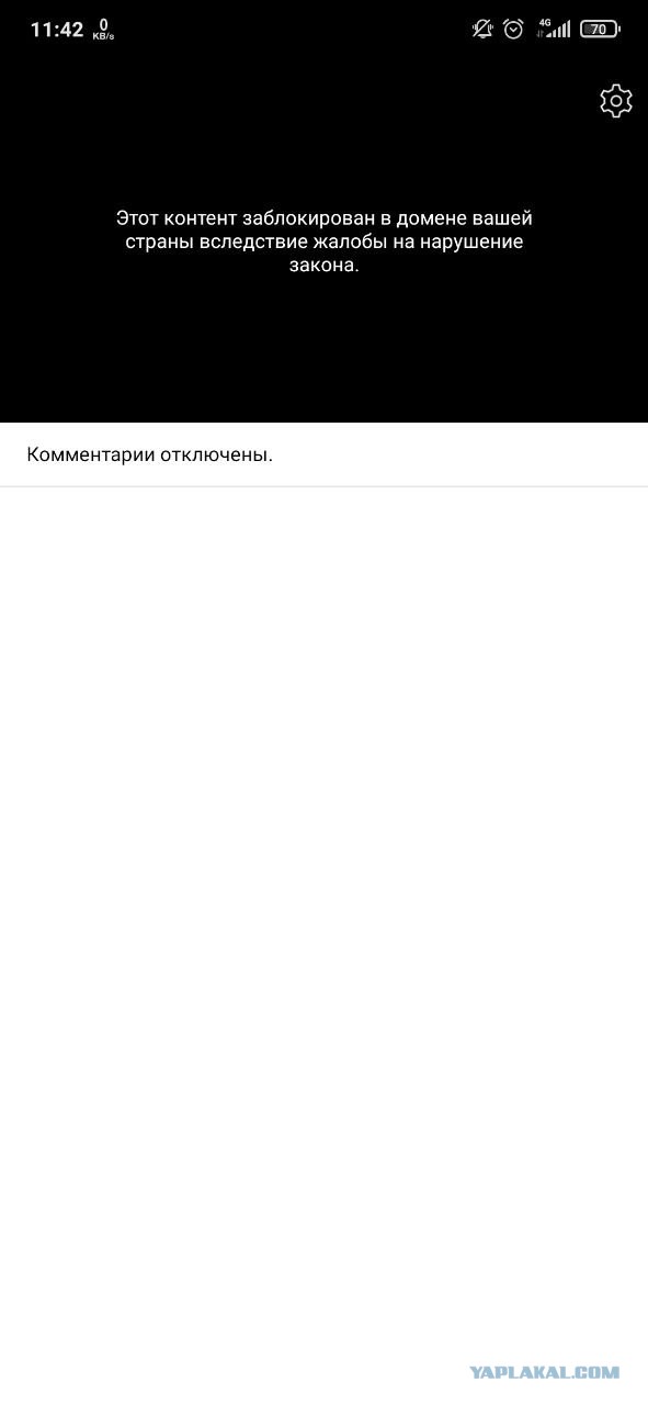 Не забывайте люди об этих зверях, никогда