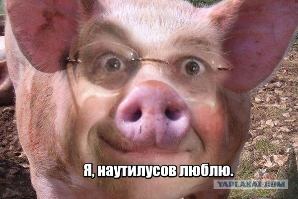 «Я хочу быть с тобой»: Вячеслав Бутусов о жизни и любви