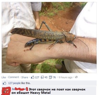 В траве сидел кузнечик
