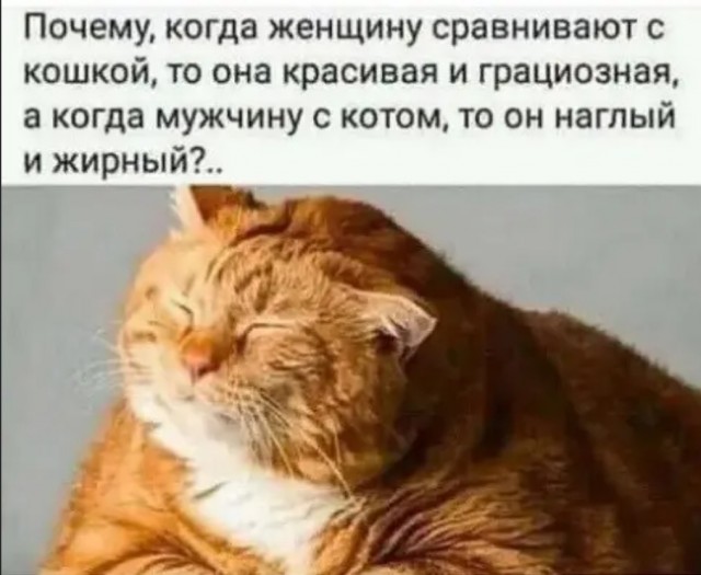 Картинки и мемы для настроения - 19