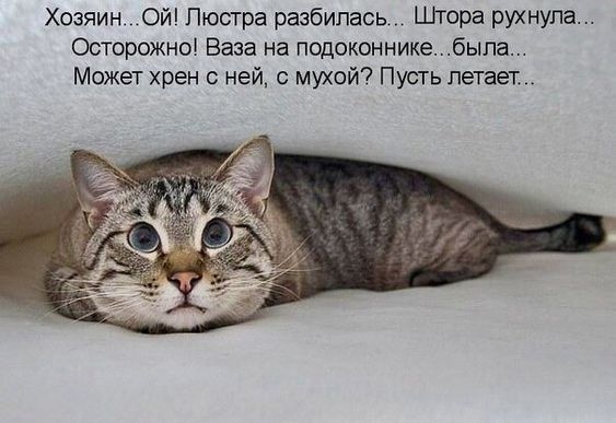 Так себе картинки 30.08.22