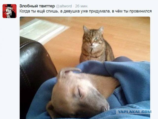 Картинки и мемы, всем хороших выходных