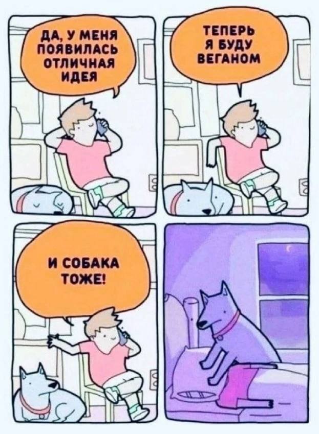 Перлы 10.12.22