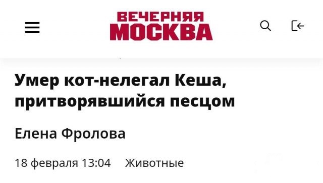 Забавные шутки и картинки из этих ваших интернетов 22.12.2022