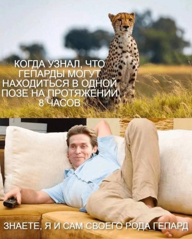 Немного картинок для настроения
