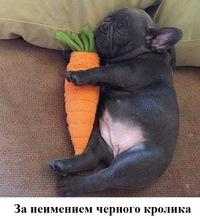 Так себе картинки 04.01.23
