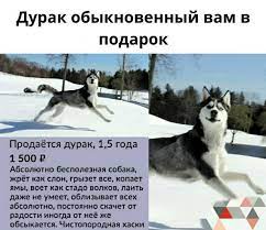 Смотри как могу