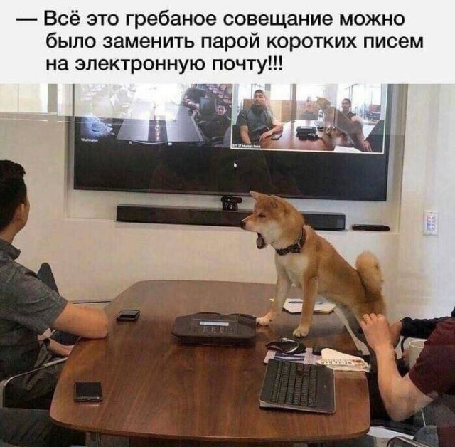 Картинки и мемы, всем хороших выходных