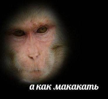 Абхазия. Гагра, наши дни