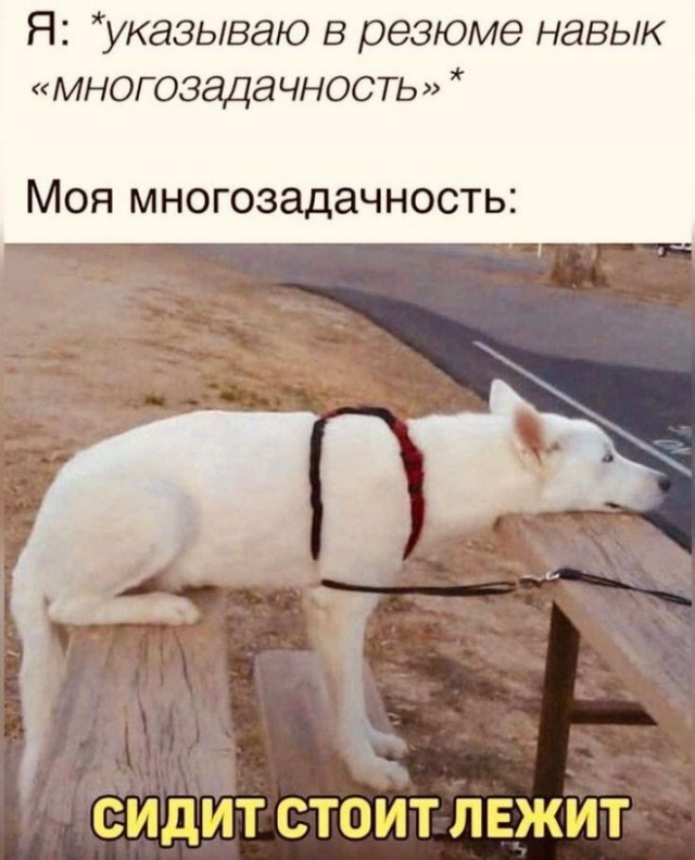 Картинки и мемы, всяко разно - 185